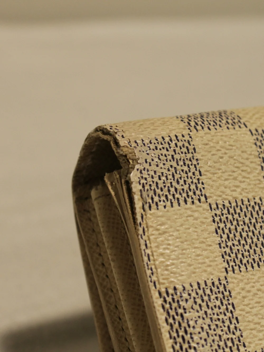 Louis Vuitton elegant louis